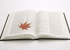 精妙配合，队员协作无间锁定对手